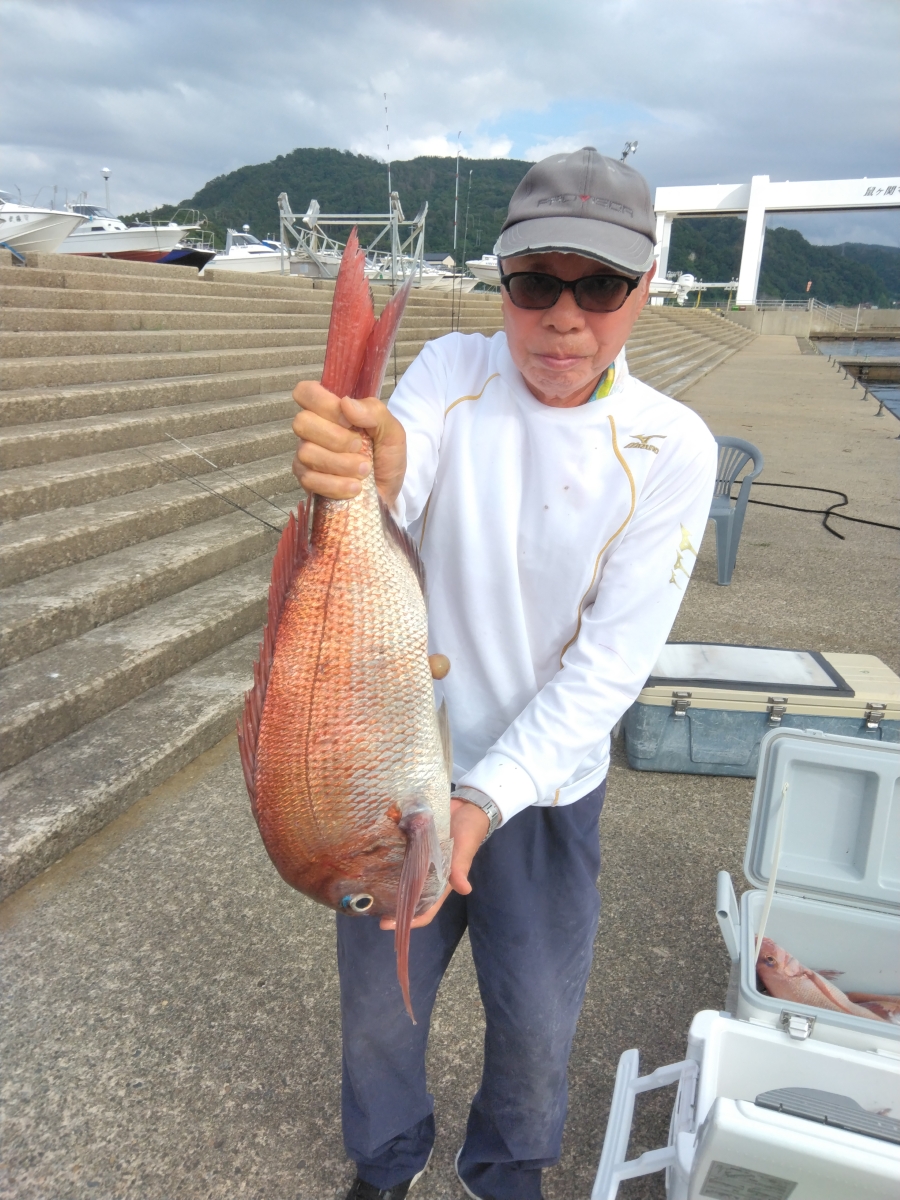 真鯛